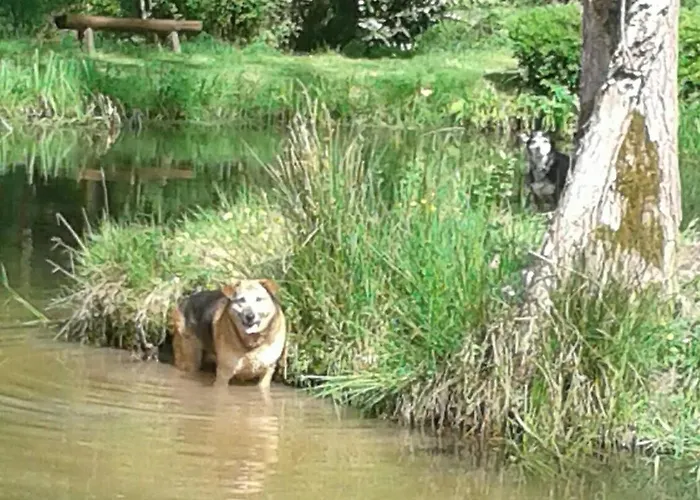 Roulotte Viticole Kemp Xertigny